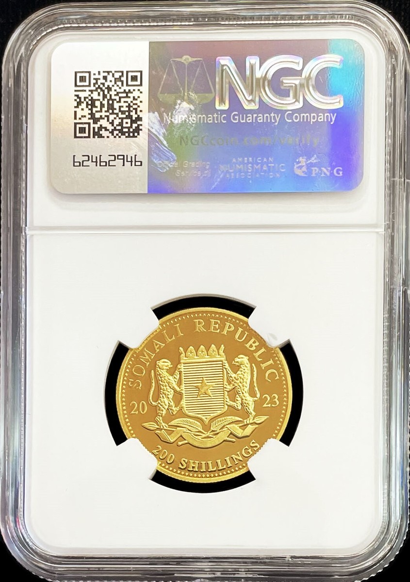 【somali】ソマリア野生動物シリーズ ヒョウ 純銀 PCGS  FS 2024 Somalia Silver African Wildlife Leopard Coin (Gilded) l