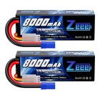 Case Battery