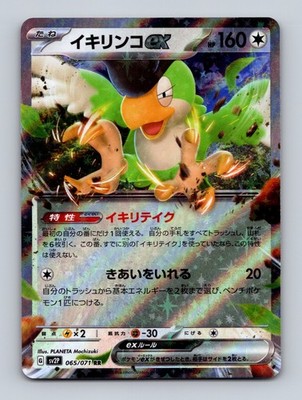 TCG Pokemon Karte Squawkabilly EX SV2P 065/071 Eng PLANETA Mochizuki Snow Hazard
