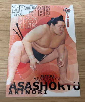 Akinori様 ブルー 28.5 NEW Ninjago ARCTURUS Anacondrai General Custom Lego Minifigure