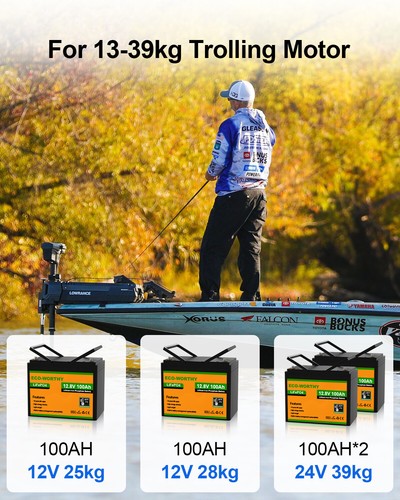 ECO-WORTHY 12V 100Ah LiFePO4 Lithium Battery Up to 15000+ Cycles Solar RV Marine - Picture 10 of 10