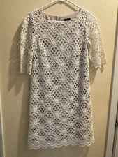Jax  Crochet Lace Off white Nude-Lined Sheath Dress Size 6