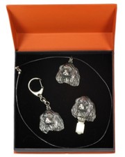 King Charles Spaniel - Set Type 2 - Le Chien Dans La Boîte Orange Art Dog DE