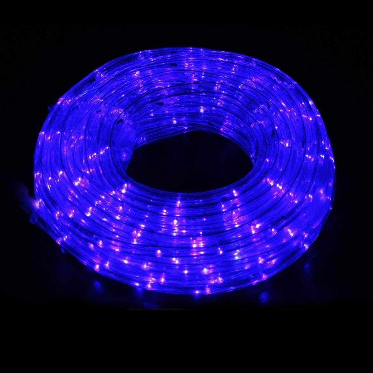 30FT LED Rope Lights Flexible Strip Lights 110V, 4 modes Decor Blue w/ Remote US