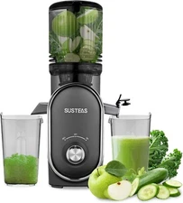 Cold Press Juicer 300W 5.3 inch Large Feed Chute 1.5L Capacity Gray