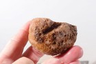 Morocco Agate lapidary 3.8 oz  Nodule faced rough lot Av — photo 7