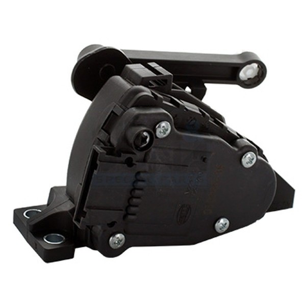 Fahrpedalsatz FÜR Renault Clio II (Bb , CB ) - Meat & Doria 83572-image