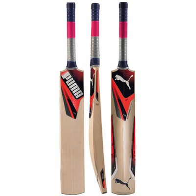 puma evospeed 1 cricket bat