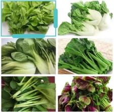 8-gram 5000+ Asian Summer Greens Seeds mix: Gai Lan, Yu Choi, Amaranth, Pak Choi