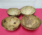Raw Natural  Coconut Shell 4 half' Aquarium-Art-Crafts-Bird Feeder Garden-Ref129