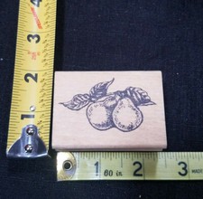 Pears with Branch and 3 leaves L1440 Rubber Stamp Wood Mounted Stamp Affair