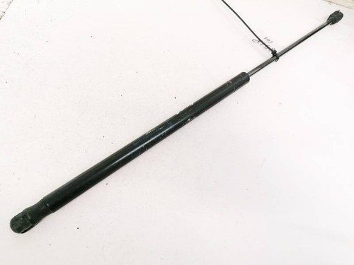 3M51R406A10AB Gasdruckfeder Motorhaube 3M51-R406A10-AB Ford C-MAX DE1747303-46