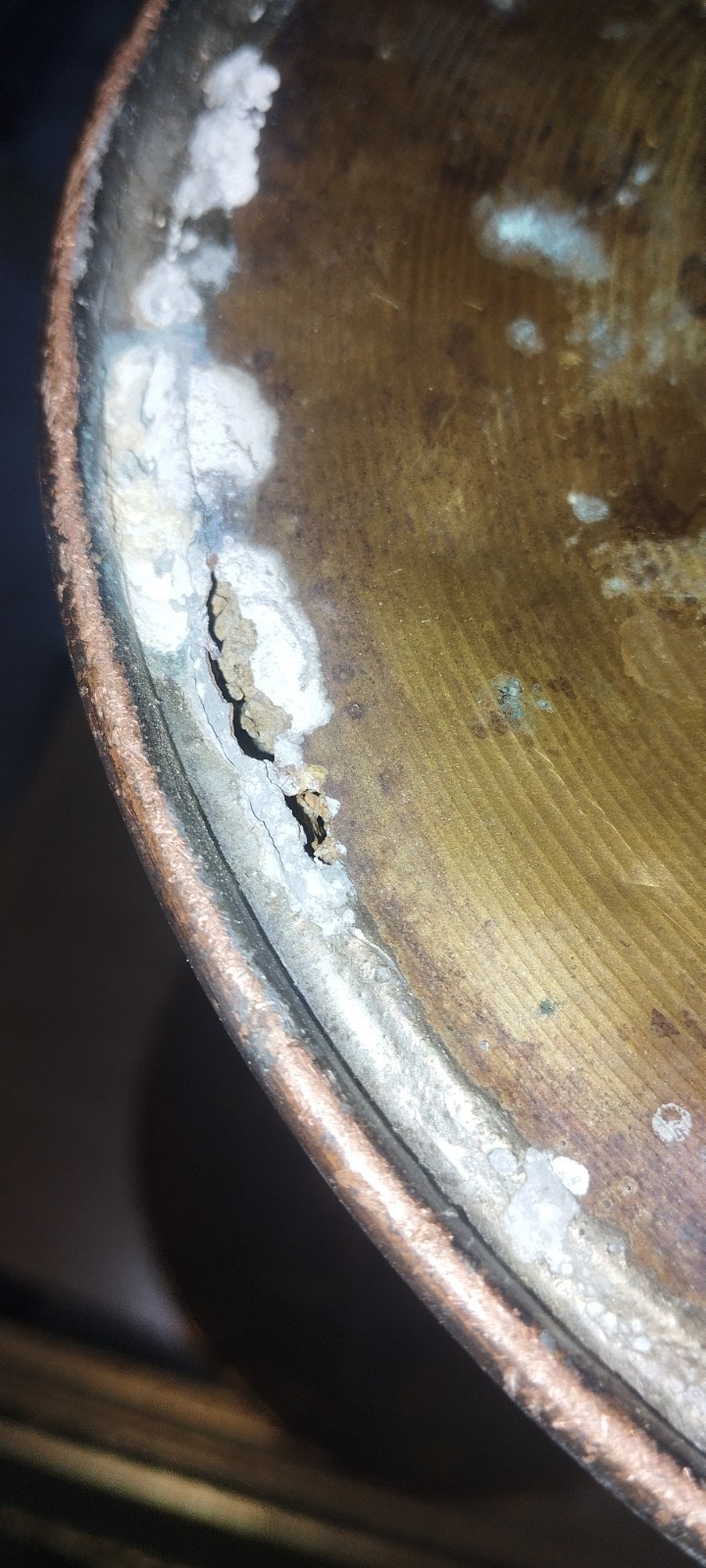 Picture 5 of 5