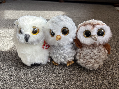 3 Ty Beanie Boos Owls - Percy, Austin & Owlette Gold Eyes, White, Brown, Grey 