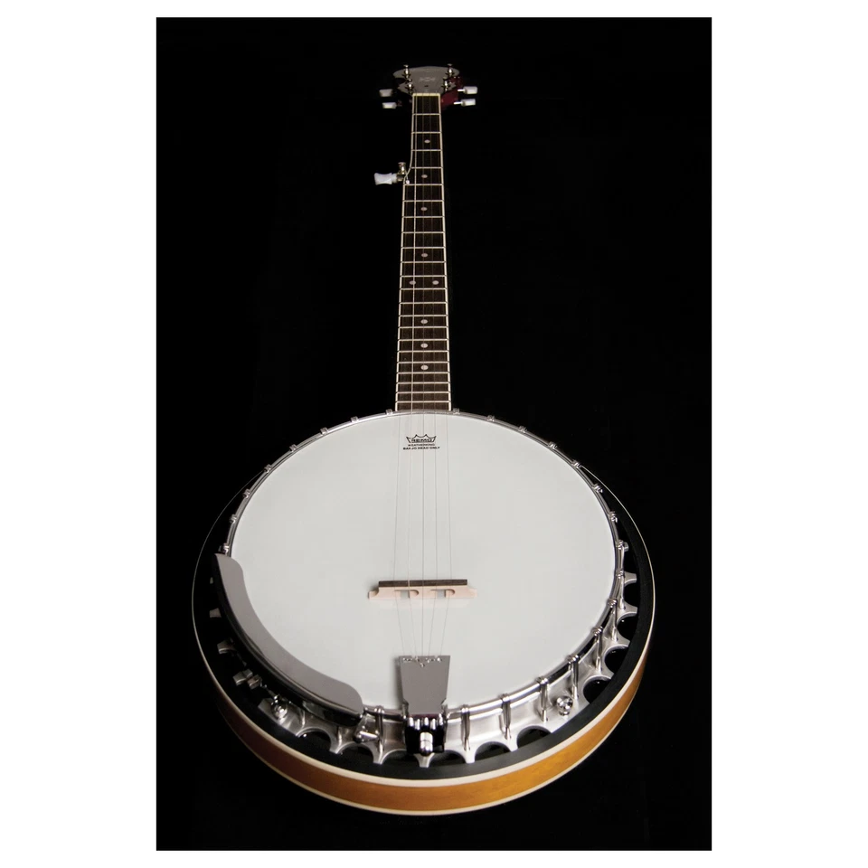 Washburn B9 Americana Series (5 String) Banjo. Sunburst - Image 4 of 4