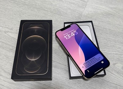 Apple iPhone 12 Pro Max 256GB Gold ohne Simlock Top Zustand 
