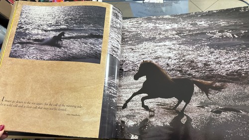 VAVRA'S VISION EQUINE IMAGES, 60-year Retrospective World’s Premier Phot. Horse - Foto 5 di 8