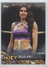 2017 WWE Women's Division Matches and Moments NXT Silver 48/50 Billie Kay 0c3