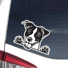 Jack Russell Car Sticker Peeking Realistic Dog Head Face Decal Bumper Window