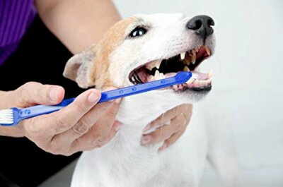 Duke's Pet Products Two-Piece Dog Toothbrush Set: Double Sided Canine Dental