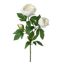 Artplants KüNstlicher Zweig Pfingstrose Slorve, Weiß, 70Cm