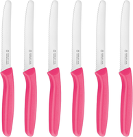 FrüHstüCksmesser 6 StüCk,BröTchenmesser Mit Wellenschliff,Scharfes KüChenmesser,