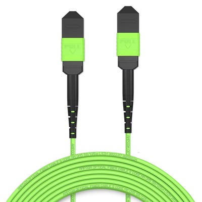AMPCOM MPO to MPO Fiber Optic Trunk Cable 12 Fiber, Type B, LSZH/Riser, UPC, 