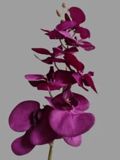 Artificial Phalaenopsis Orchid flower stem. Silk Flowers  DARK ROYAL PURPLE