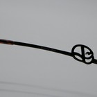 Bild 10 von 12