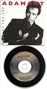 Adam Ant Room at the Top | eBay