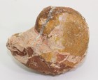 Bild 2 von 6