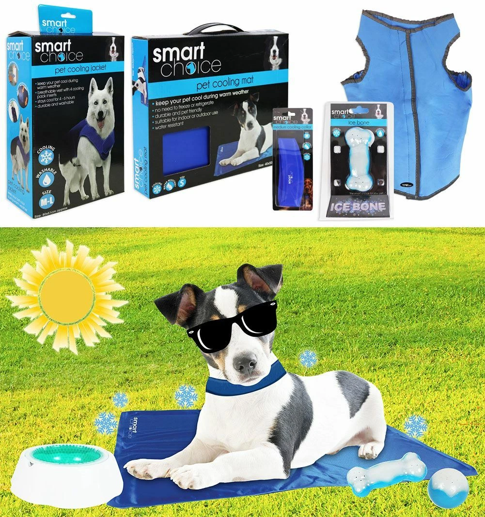 Cool dog cheap products