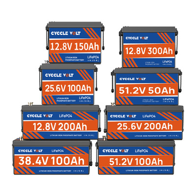 12V 24V 36V 48V 100Ah 150Ah 200AH 300Ah LiFePO4 Lithium Batterie BMS Solar RV