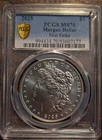 2025-S Morgan Dollar (2021-Present) Proof — photo from another recent sale