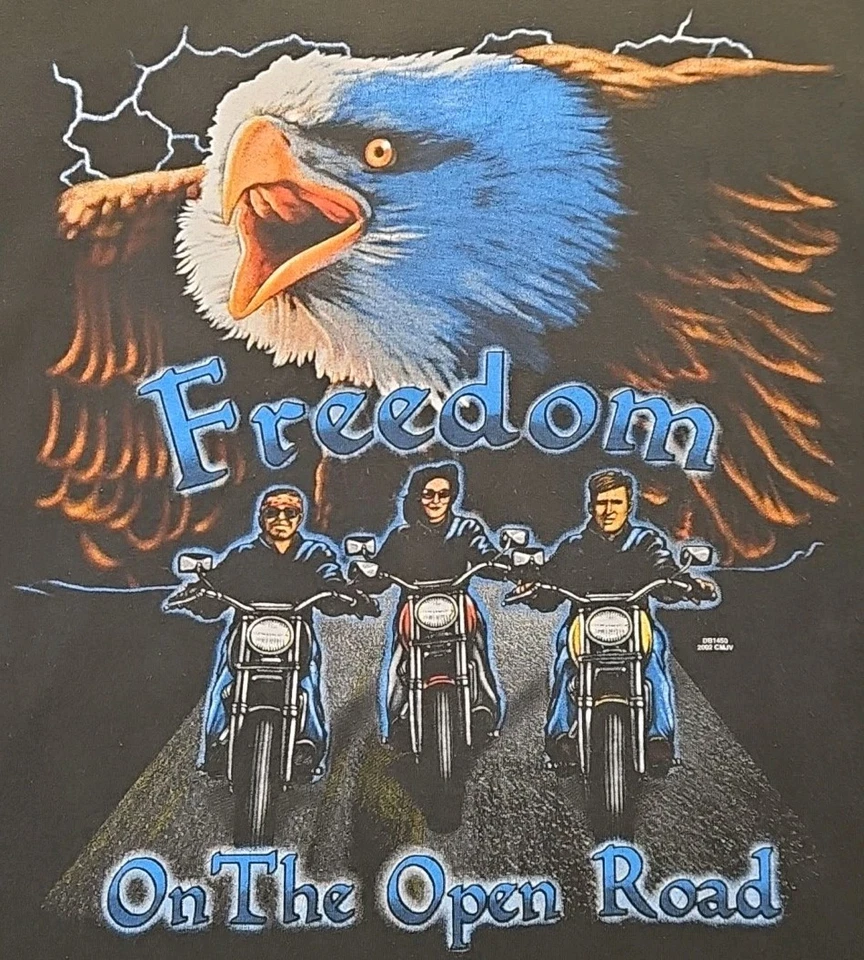 Camiseta De Colección Y2K 2002 Freedom OTOR Motociclista Para Hombres 2XL Águila y Manga Larga Lightning Hits Foto 2 de 4