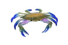 Crab, Blue Crab, Hand Painted, Realistic Toy Figure, Model, 6" CH161 BB111
