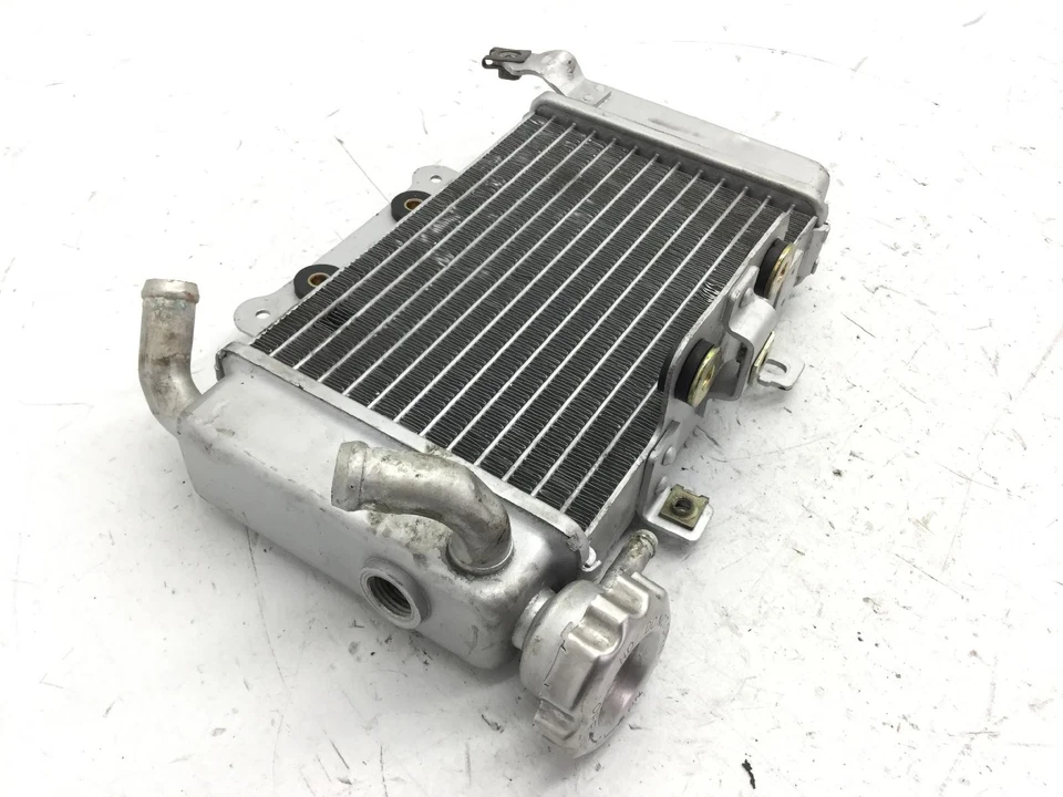 RADIATOR Und TANK BENELLI CAFFE' NERO 150 2011 T1310 Foto 3 de 4