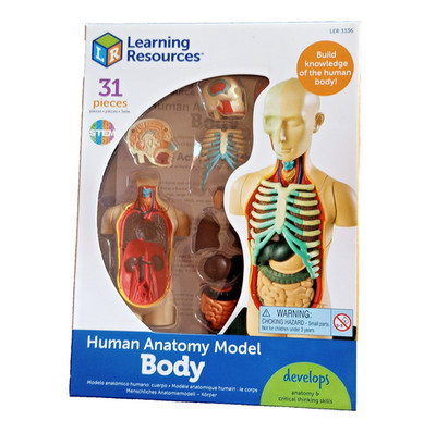 Learning Resources Human Body Anatomy Model LER 3336 Complete 31pc