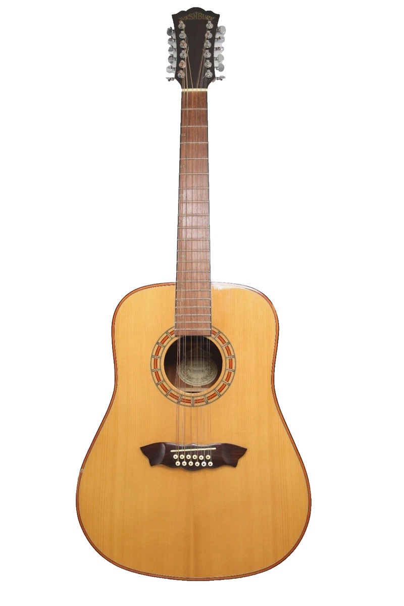 Washburn Rosewood Dreadnought Acoustic Guitars for sale | eBay