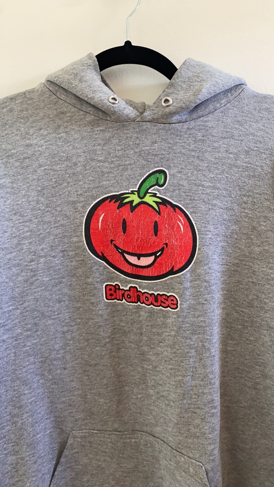 Birdhouse VTG 1990s Grey Hoodie *rare* Gem