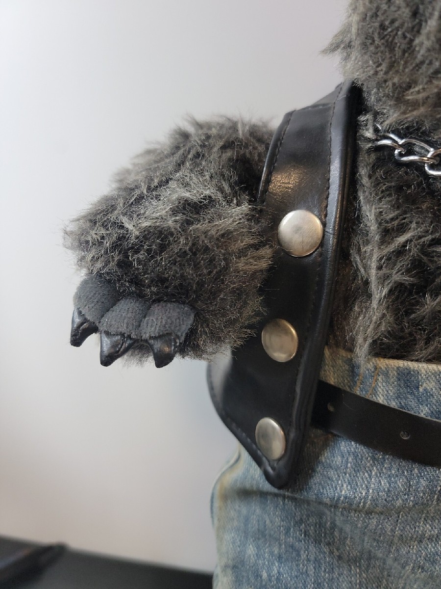 100th Anniversary 1903-2003 Born to Ride Harley Davidson