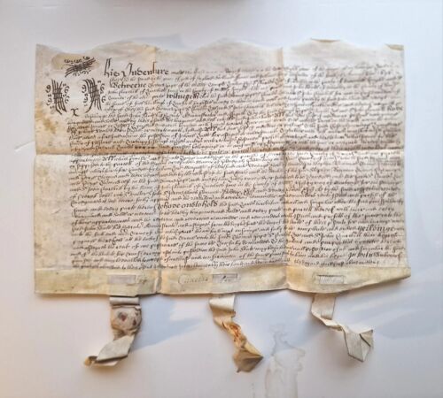 1676 contratto legale su pergamena dal regno di Carlo II - Foto 1 di 15