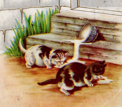 1912 Chestnut Hill Station Cancel Cats Spilled Milk art Postcard