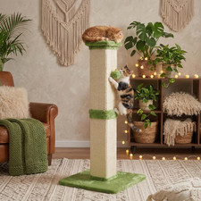 32" Tall Cat Scratching Post, Cat Scratcher with Heavy Duty Thick Wood Base, ...