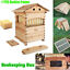 thumbnail 3  - Beekeeping Brood Honey Hive Wood Fir Box Or 7PCS Bee Hive Frames Auto Harvesting