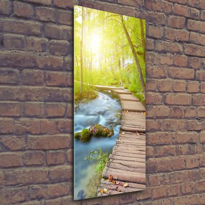 Wand-Bild Kunstdruck aus Acryl-Glas Hochformat 50x125 Pfad im Wald