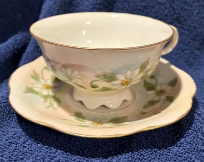 CM Hutschenreuther Hohenberg Porcelain Cup & Saucer Floral Signed Germany