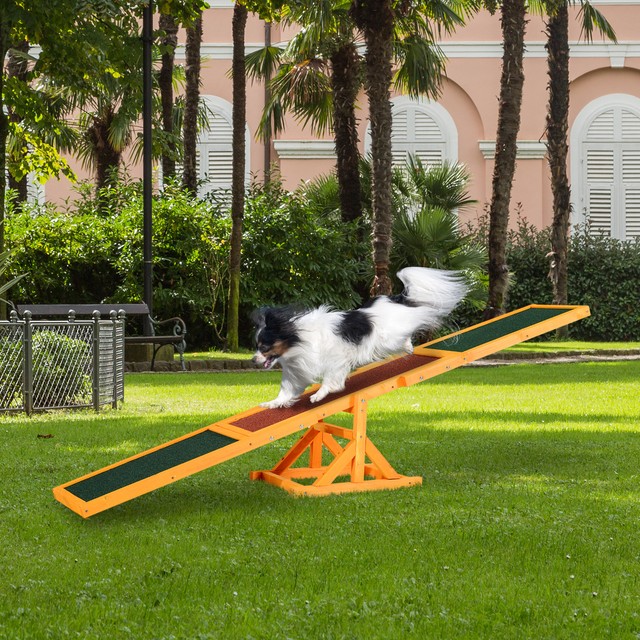 dog agility seesaw