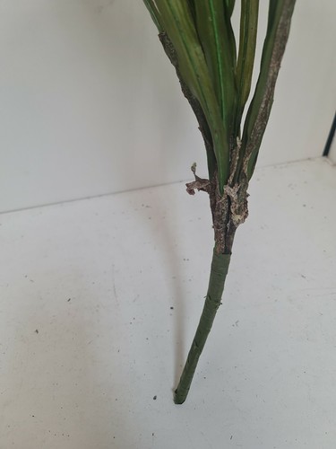 3 X Artificial green/yellow Leaf Orchid large Plants 100cm Foliage, Greenery - Picture 6 of 12