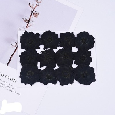 12PCS real dried Pressed Rose Flower Head, Dyed Black color Flower FCD07